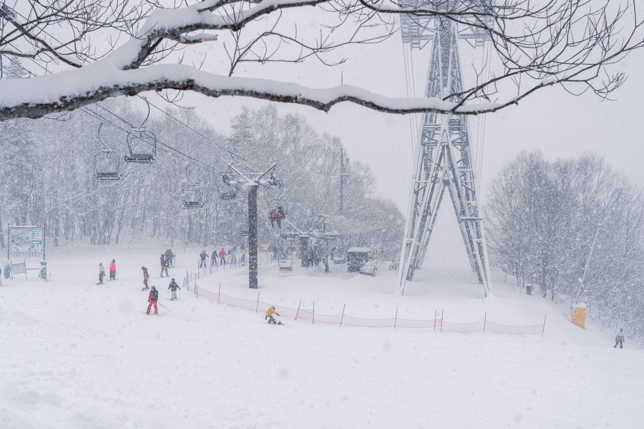 富良野スキー場｜数字以上に良い雪たっぷり！いよいよ『bonchi powder』本領発揮の季節到来です！